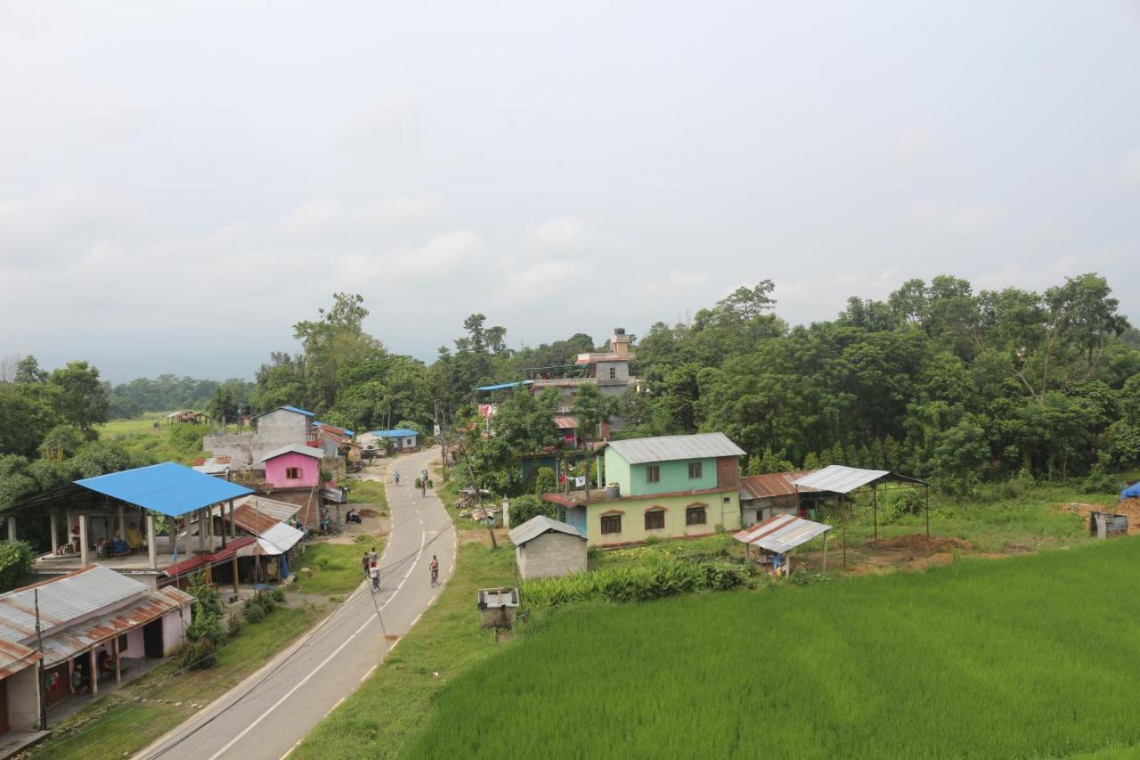 Tiger Corner Inn Homestay Sauraha Dış mekan fotoğraf