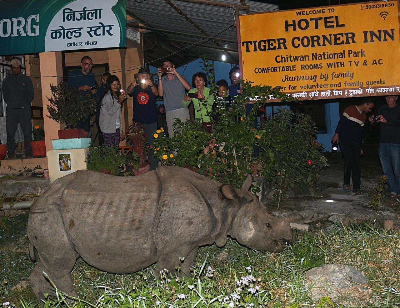 Tiger Corner Inn Homestay Sauraha Dış mekan fotoğraf