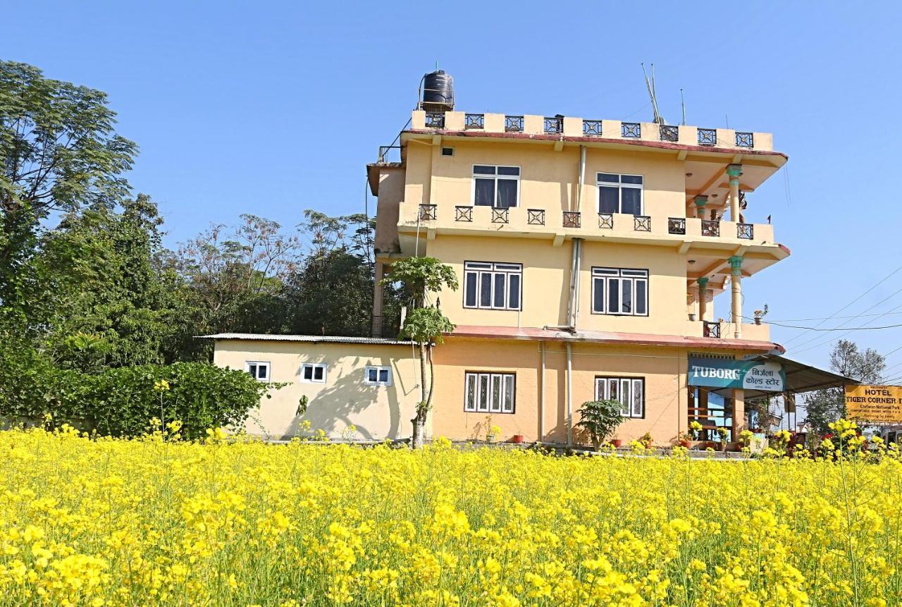 Tiger Corner Inn Homestay Sauraha Dış mekan fotoğraf